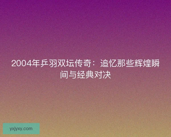 2004年乒羽双坛传奇：追忆那些辉煌瞬间与经典对决