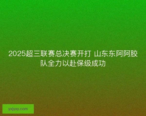 2025超三联赛总决赛开打 山东东阿阿胶队全力以赴保级成功